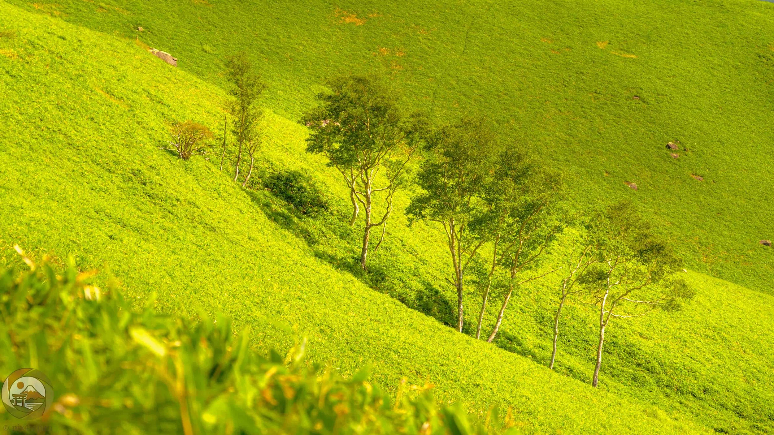 Nagano Japan Highland Landscape with Lush Green Hills — Pix4Japan